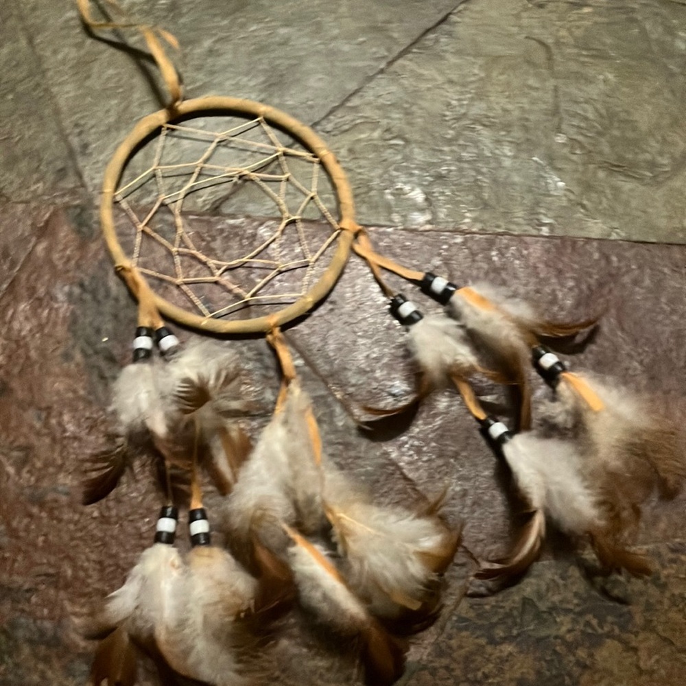 Rustic Feather Dreamcatcher